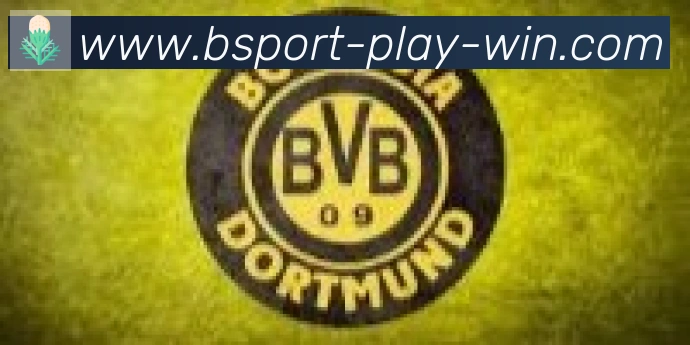 Bsports官网合作伙伴