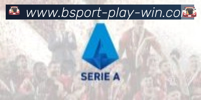 Bsports官网合作伙伴