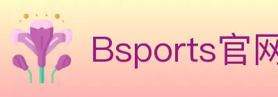 Bsports官网 logo